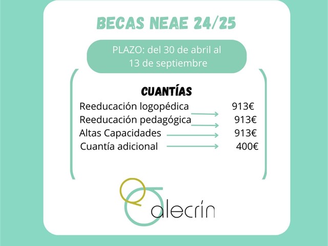 BECAS NEAE 24/25